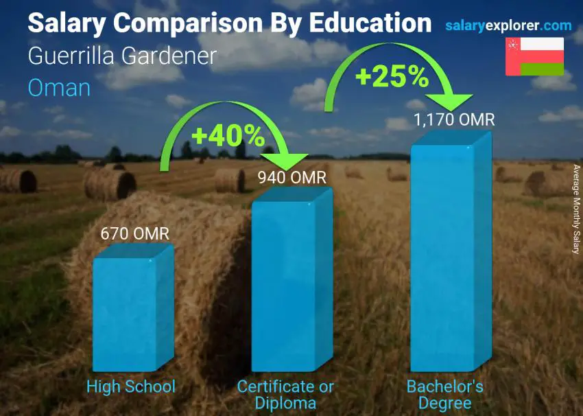 Salary comparison by education level monthly Oman Guerrilla Gardener