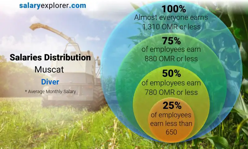 Median and salary distribution Muscat Diver monthly