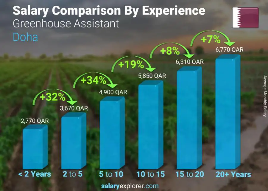 Salary comparison by years of experience monthly Doha Greenhouse Assistant