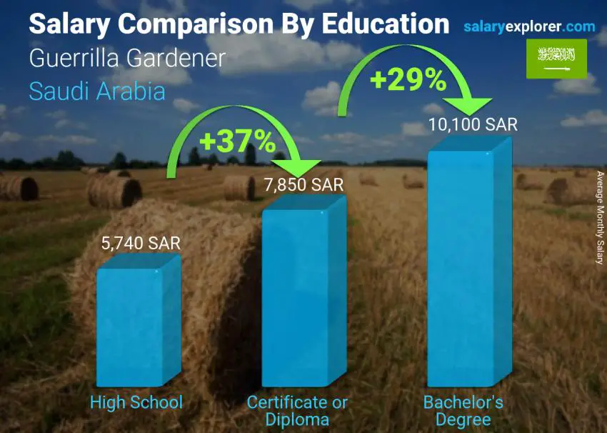 Salary comparison by education level monthly Saudi Arabia Guerrilla Gardener