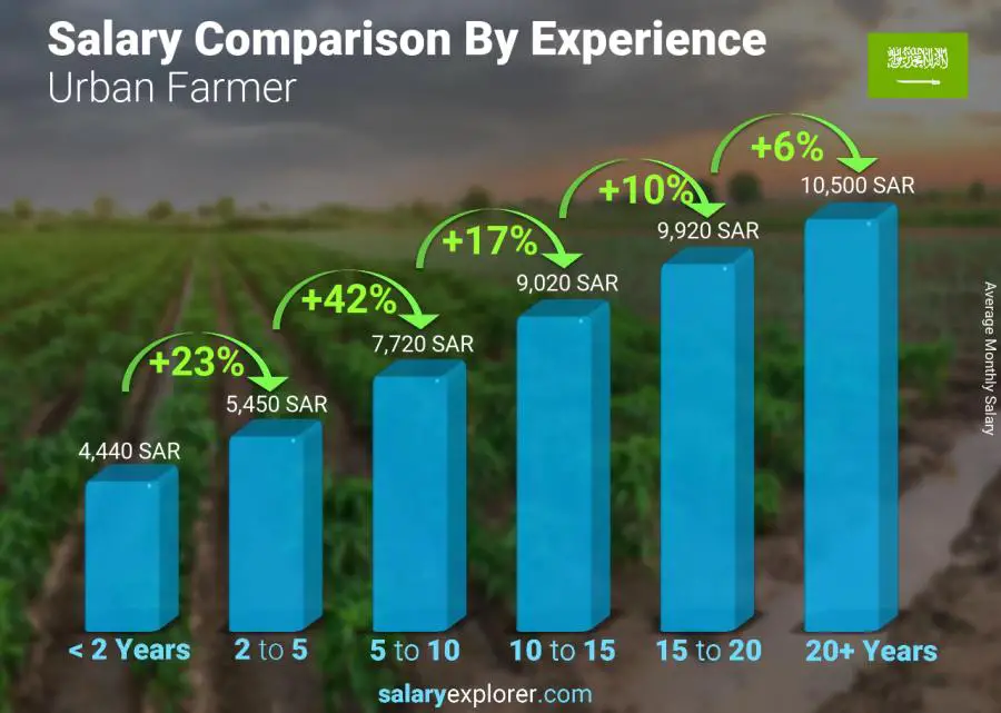 Salary comparison by years of experience monthly Saudi Arabia Urban Farmer