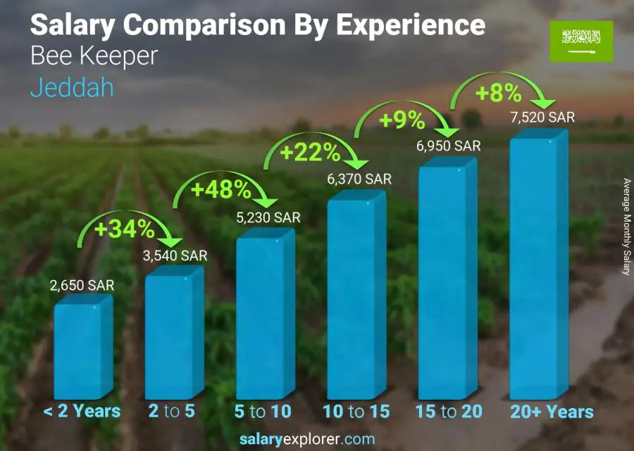 Salary comparison by years of experience monthly Jeddah Bee Keeper