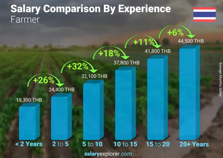 Salary comparison by years of experience monthly Thailand Farmer