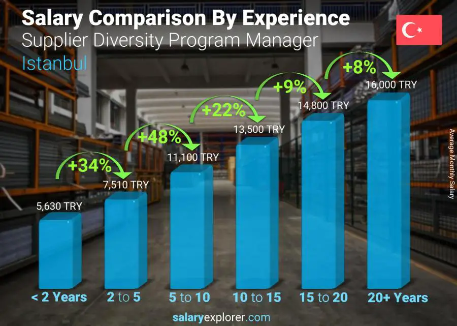 Salary comparison by years of experience monthly Istanbul Supplier Diversity Program Manager