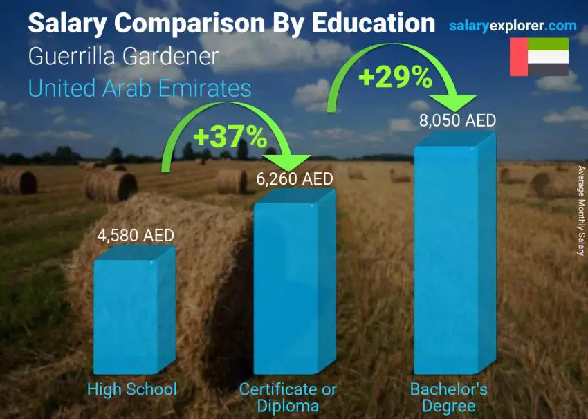 Salary comparison by education level monthly United Arab Emirates Guerrilla Gardener