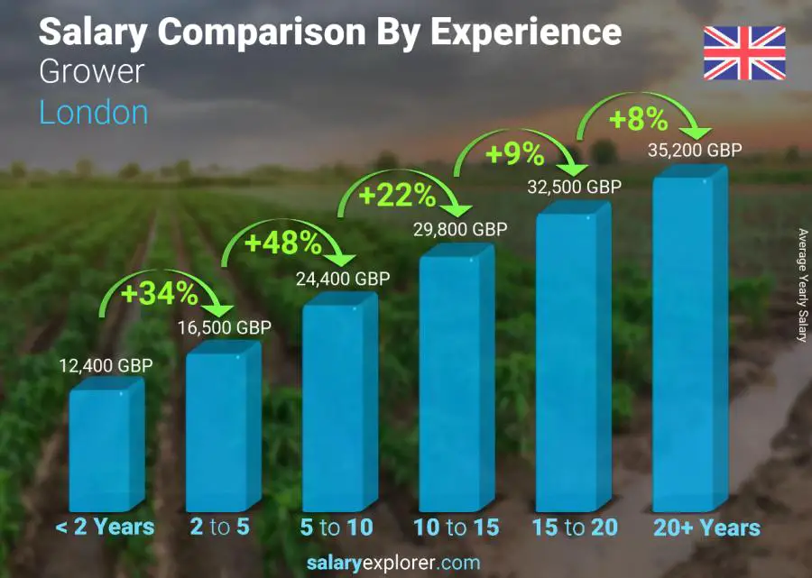 Salary comparison by years of experience yearly London Grower