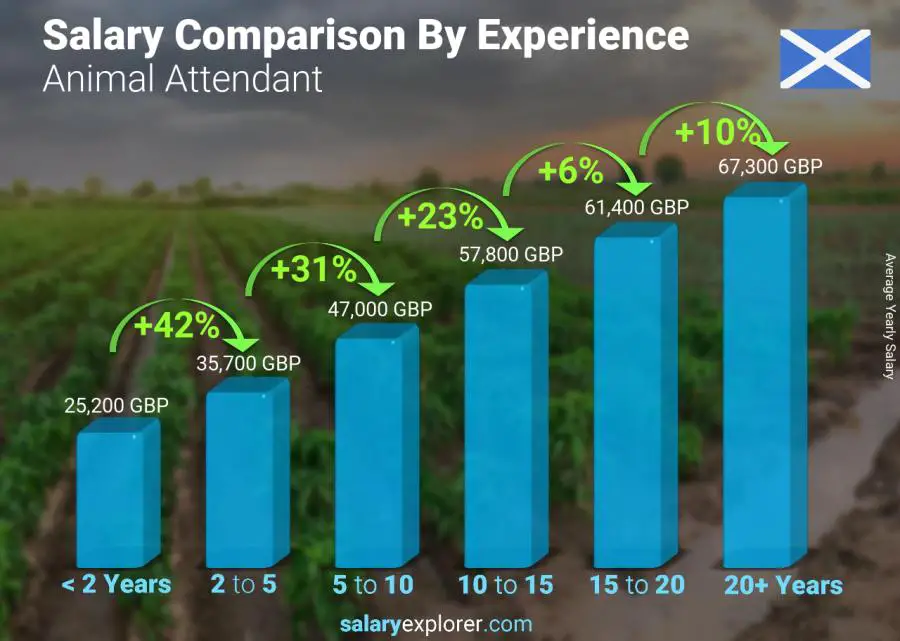 Salary comparison by years of experience yearly Scotland Animal Attendant