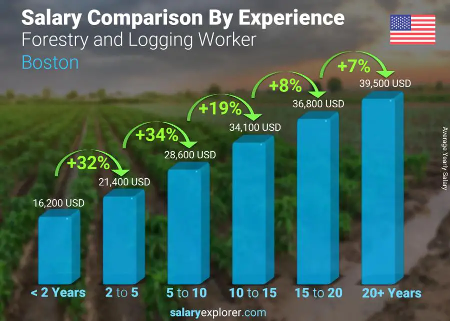 Salary comparison by years of experience yearly Boston Forestry and Logging Worker