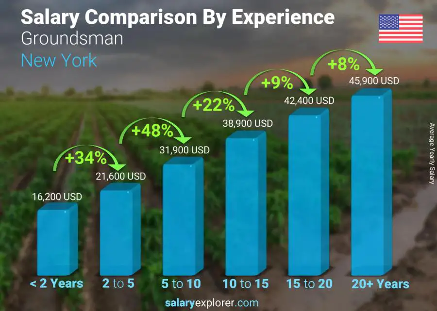 Salary comparison by years of experience yearly New York Groundsman