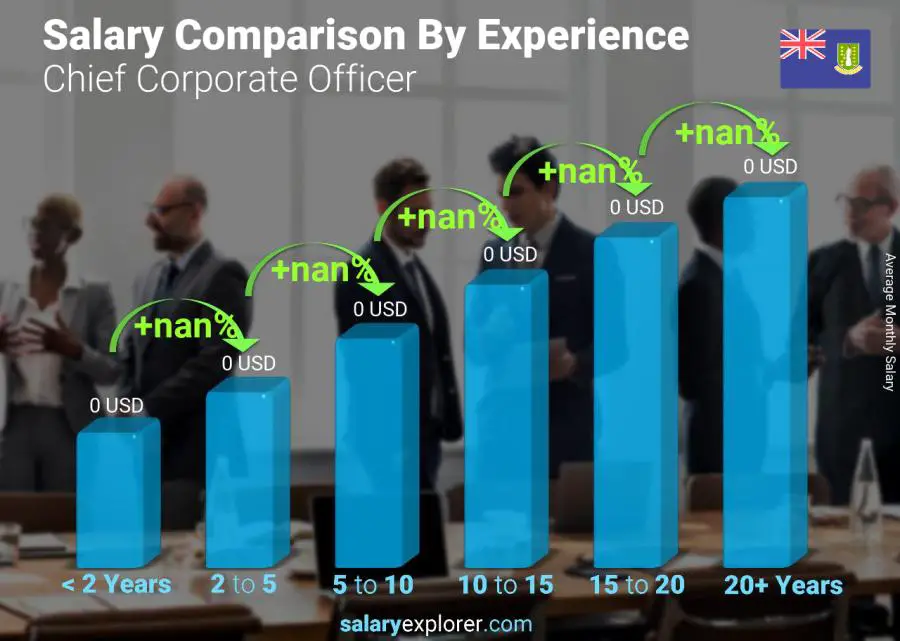 Salary comparison by years of experience monthly Virgin Islands (British) Chief Corporate Officer