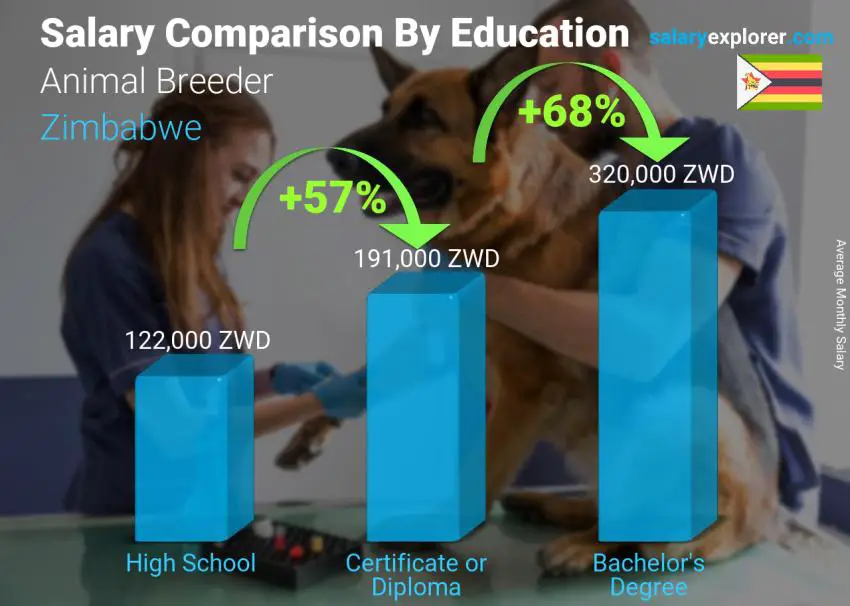 Salary comparison by education level monthly Zimbabwe Animal Breeder