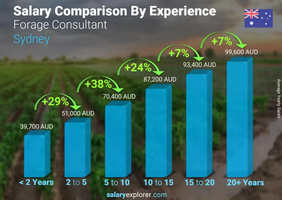 Comparación de salarios por años de experiencia anual Sídney Consultor de forrajes