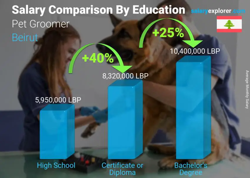 Comparaison des salaires selon le niveau d'études mensuel Beyrouth Toiletteur pour animaux de compagnie